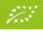 EU Økologi, grønne blad